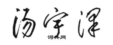 駱恆光湯宇澤草書個性簽名怎么寫