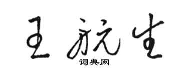 駱恆光王航生草書個性簽名怎么寫