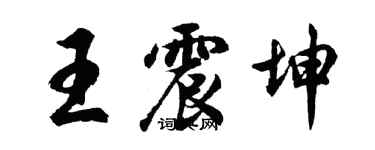 胡問遂王震坤行書個性簽名怎么寫