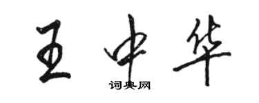 駱恆光王中華行書個性簽名怎么寫