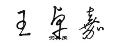 駱恆光王卓嘉草書個性簽名怎么寫