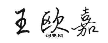 駱恆光王歐嘉行書個性簽名怎么寫