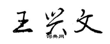 曾慶福王興文行書個性簽名怎么寫