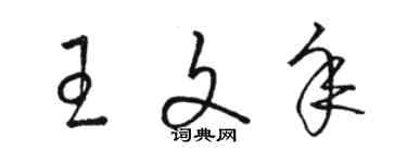 駱恆光王文年草書個性簽名怎么寫