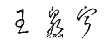 駱恆光王泉寧草書個性簽名怎么寫