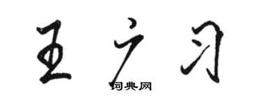 駱恆光王廣習行書個性簽名怎么寫