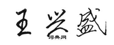 駱恆光王興盛行書個性簽名怎么寫