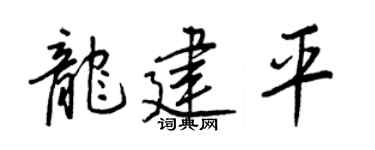 王正良龍建平行書個性簽名怎么寫