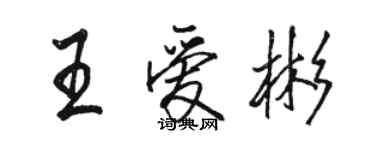 駱恆光王愛彬行書個性簽名怎么寫