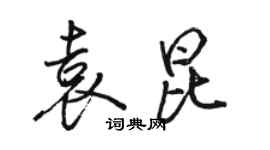駱恆光袁昆行書個性簽名怎么寫