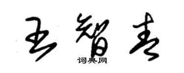 朱錫榮王智青草書個性簽名怎么寫