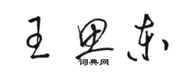 駱恆光王思東草書個性簽名怎么寫