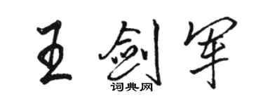 駱恆光王劍軍行書個性簽名怎么寫