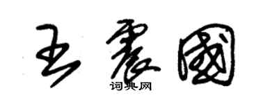 朱錫榮王震國草書個性簽名怎么寫