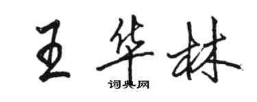 駱恆光王華林行書個性簽名怎么寫