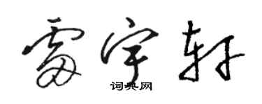 駱恆光雷宇軒草書個性簽名怎么寫