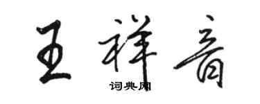 駱恆光王祥音行書個性簽名怎么寫