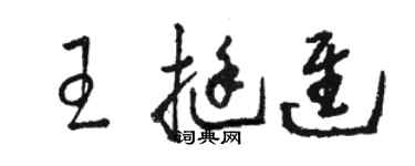 駱恆光王挺進草書個性簽名怎么寫