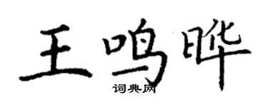 丁謙王鳴曄楷書個性簽名怎么寫