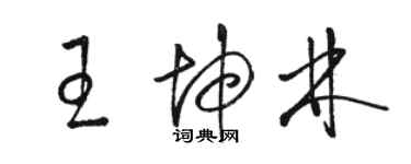 駱恆光王坤林草書個性簽名怎么寫