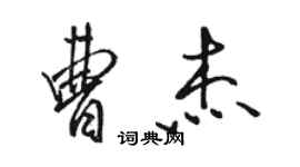 駱恆光曹傑行書個性簽名怎么寫