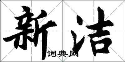 胡問遂新潔行書怎么寫