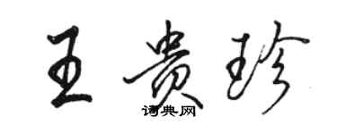 駱恆光王貴珍行書個性簽名怎么寫