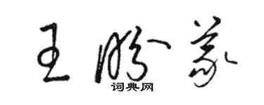 駱恆光王盼義草書個性簽名怎么寫