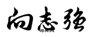 胡問遂向志強行書個性簽名怎么寫