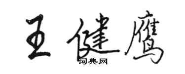 駱恆光王健鷹行書個性簽名怎么寫