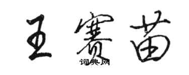 駱恆光王賽苗行書個性簽名怎么寫