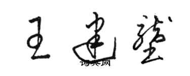 駱恆光王建壟草書個性簽名怎么寫