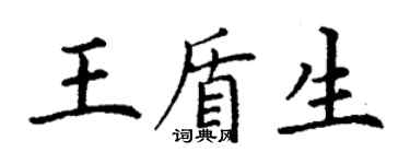丁謙王盾生楷書個性簽名怎么寫