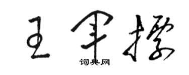 駱恆光王軍標草書個性簽名怎么寫