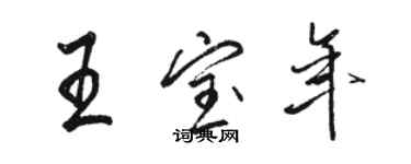 駱恆光王寶年行書個性簽名怎么寫