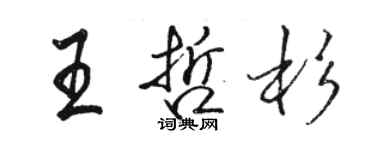 駱恆光王哲杉行書個性簽名怎么寫