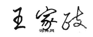 駱恆光王家政行書個性簽名怎么寫