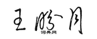 駱恆光王盼月草書個性簽名怎么寫