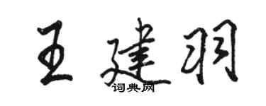 駱恆光王建羽行書個性簽名怎么寫