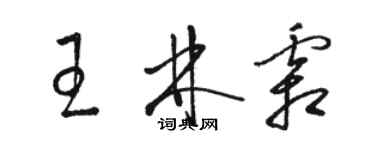 駱恆光王林霜草書個性簽名怎么寫