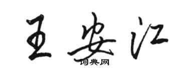 駱恆光王安江行書個性簽名怎么寫