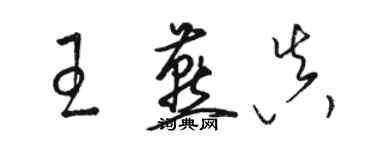 駱恆光王燕真草書個性簽名怎么寫