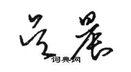 駱恆光吳晨草書個性簽名怎么寫