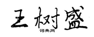 曾慶福王樹盛行書個性簽名怎么寫