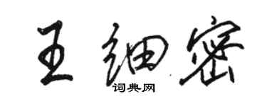 駱恆光王細密行書個性簽名怎么寫