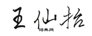 駱恆光王仙抬行書個性簽名怎么寫