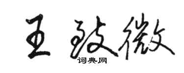 駱恆光王致微行書個性簽名怎么寫