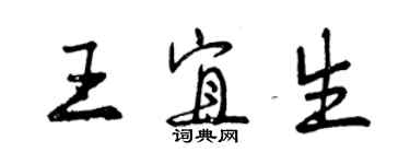 曾慶福王宜生行書個性簽名怎么寫