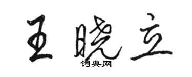 駱恆光王曉立行書個性簽名怎么寫