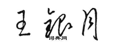 駱恆光王銀月草書個性簽名怎么寫